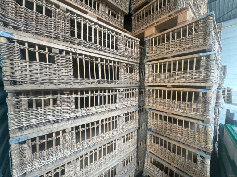 Lot de paniers de transport en osier provenant de la ZLU