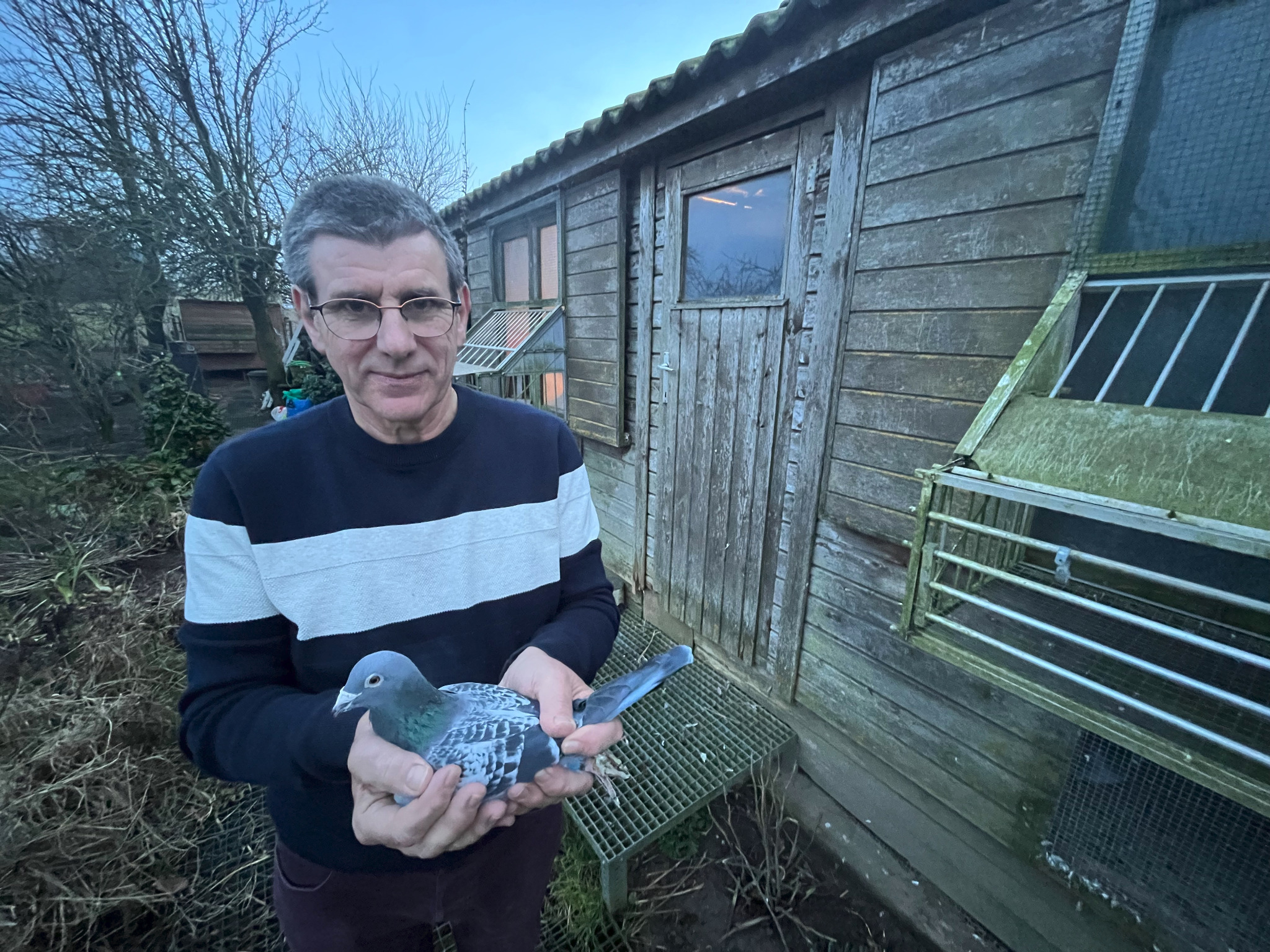 René Froye tenant un pigeon devant son colombier à Brêmes-les-Ardres.